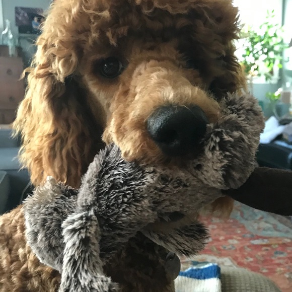 Meet your Posher, Melissa - Picture 11 of 11